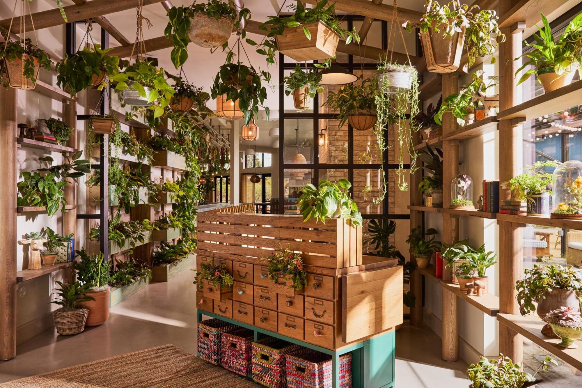 Treehouse Hotel Silicon Valley 서니베일 외부 사진